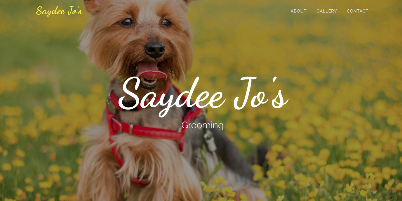 Picture of Dog Grooming Web design that I did